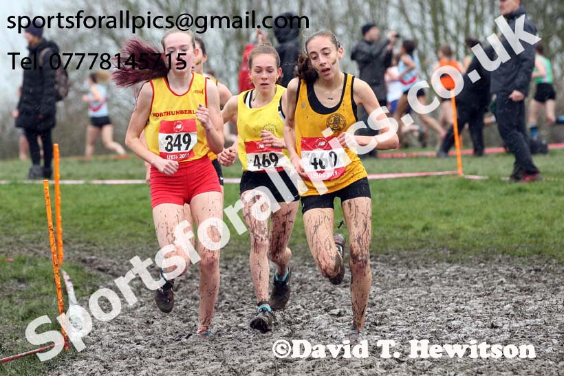 Senior girls 2019 New Balance English Schools Cross Country Champs, Temple Newsam, Leeds. Photo:  David T. Hewitson/Sports for All Pics